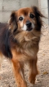 ZEUS Image 3